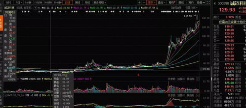 2019年，你可能錯(cuò)過(guò)的十大牛股 軟件外包服務(wù)篇