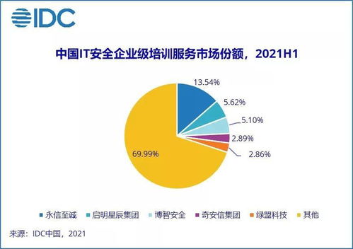 IDC報告 2021上半年中國網(wǎng)絡(luò)安全服務(wù)市場規(guī)模翻倍增長，網(wǎng)絡(luò)與信息安全軟件開發(fā)迎來新機遇